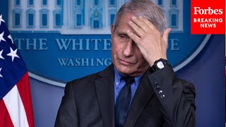 Americans Have Even Less Trust In Scientists Now Than Pre-Pandemic, Poll Finds—Especially Among GOP