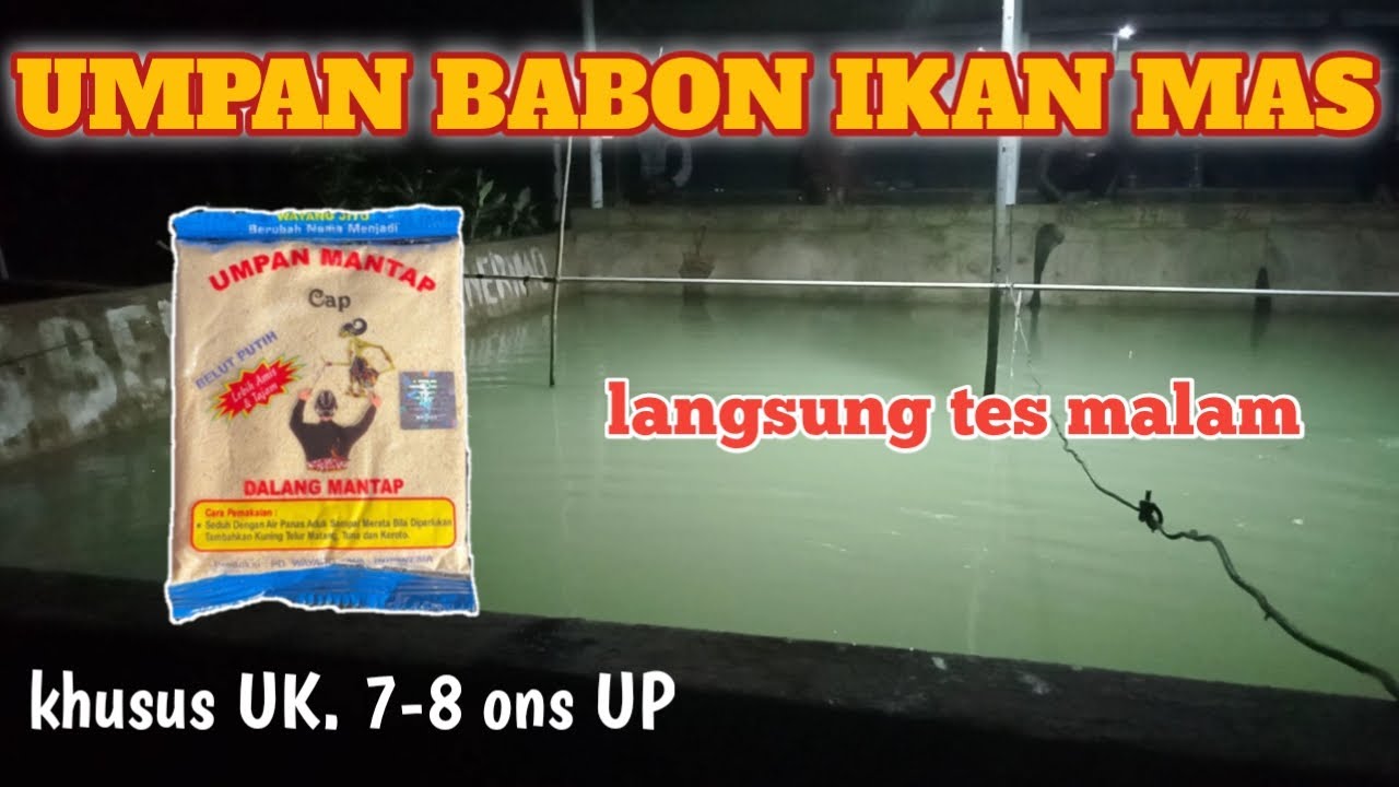 UMPAN SPESIAL BABON IKAN MAS || langsung tes malam hari