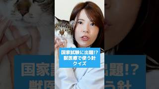 【クイズ!】動物看護師試験にも出題された獣医療の特殊針