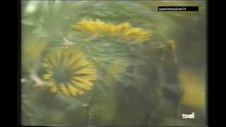 Video-Clip: 'Café del mar' Frank Fischer