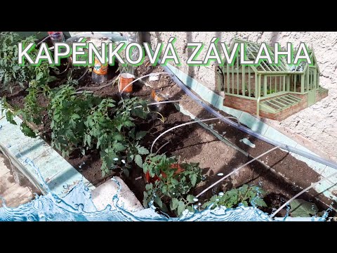 Video: DIY Kapkové Zavlažování