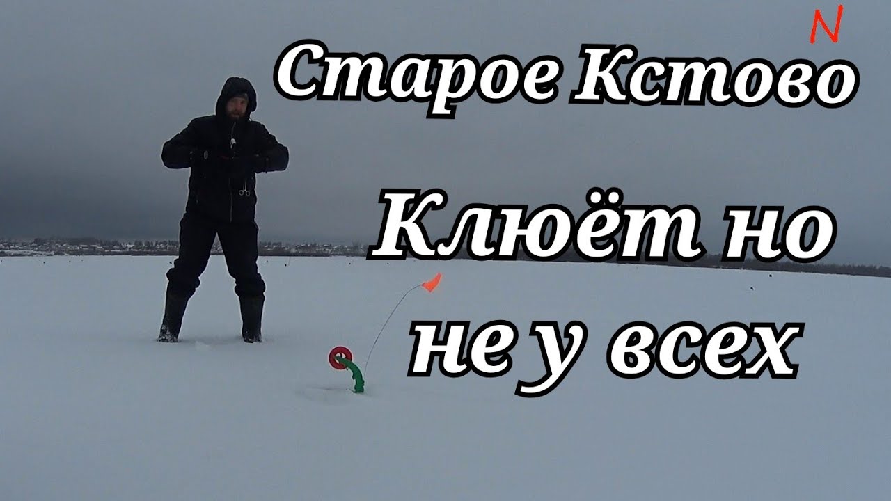 Кафе волга старое кстово