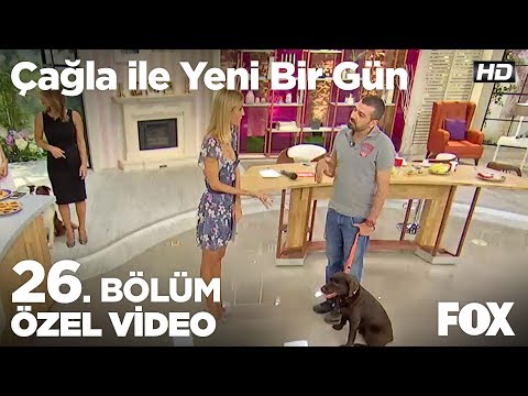 Türkiye'nin en yetenekli köpeği Max ve eğitmeni Ali Yeşilırmak canlı yayında!