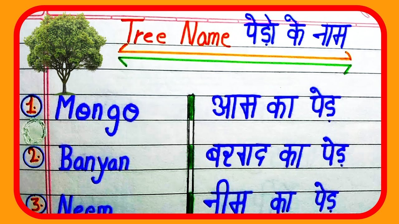 10 Trees Name In English And Hindi Trees Name Trees Name In English 10-trees-name-in-english-and-hindi-trees-name-trees-name-in-english