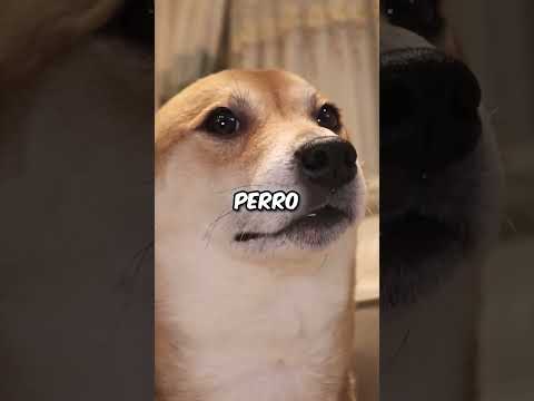 CUANTOS AÑOS tiene