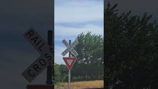 empty coal train bnsf9053