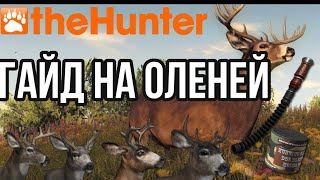 : theHunter Classic     , ,   !!!