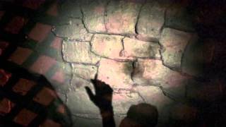 Parsely Canole & Black Bear