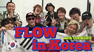 FLOW in Korea with LUCKLIFE