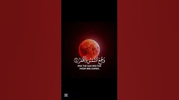 قرآن كريم سورة القيامة❤️❤️ #قران_كريم
