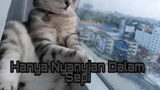 Hanya Nyanyian Dalam Sepi  Chris Vadham cover By Shamringgo