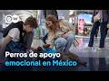México refuerza seguridad y apoyo emocional en aeropuertos ante el Mundial de fútbol