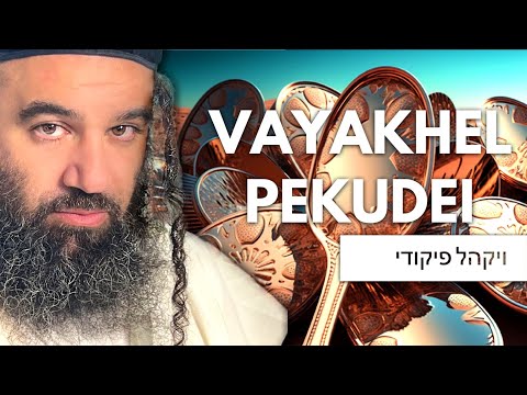 Shiur Torah #80 Parashat Vayakhel, Dogs In The Torah, Shabbat, Shlom Bayit Can Bring Miracles