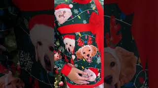 Custom Funny Face I Am Your Christmas Present | Personalized Photo Ugly Sweater screenshot 5