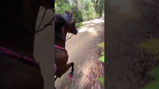 This is how I get thing type of shot while horse riding!