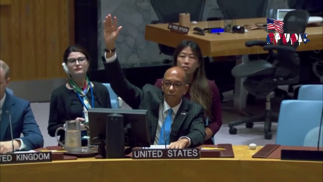 United Nations Security Council Vote on Draft Resolution | May 2024