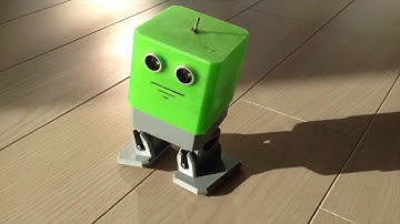 OTTO Robot with XXL-HEAD