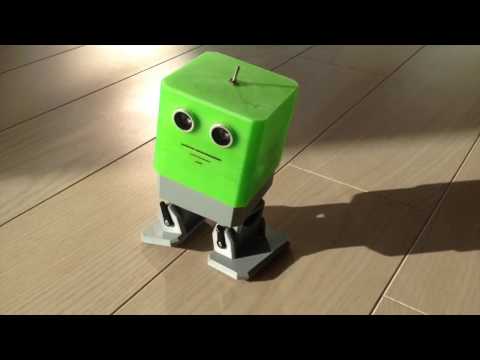 OTTO Robot with XXL-HEAD