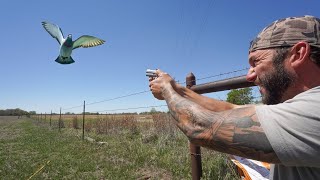 Worlds Smallest Double Barrel .410 Pigeon Hunt CHALLENGE!!