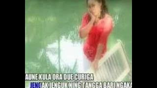 manuk dedali (een.c)upload agoes_dermayu