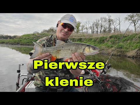 Pierwsze klenie #klenienachleb #GraffTeam #solar360bass
