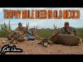 Hunting 2 GIANT Mule Deer in Mexico