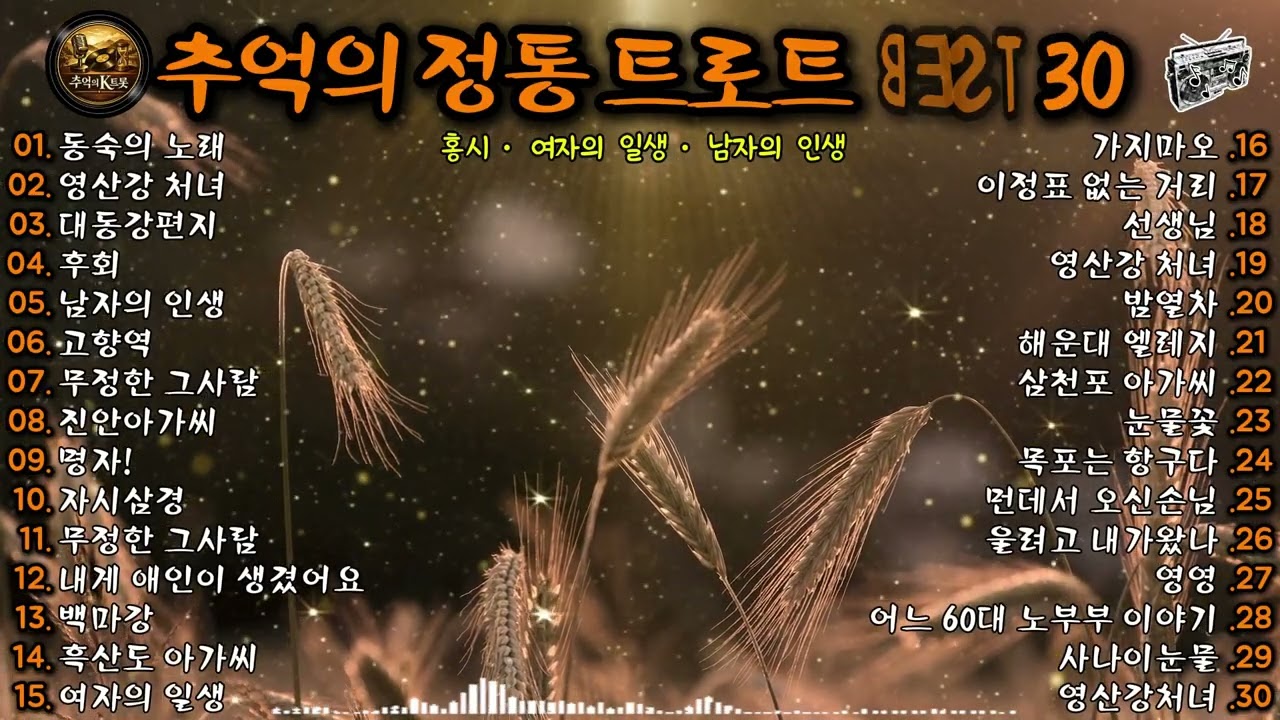 🎧 인생 트로트 명곡 BEST 30 │ 홍시 · 남자의 인생 · 사나이눈물 · 동숙의 노래 · 영산강 처녀 외 5060 세대가 사랑한 추억의 정통 트로트 연속듣기