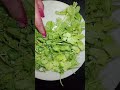  Paani wali Fulki #shortsvideo #Eva Cooking Vlogs
