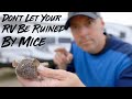 How to keep mice and pest out of your rv