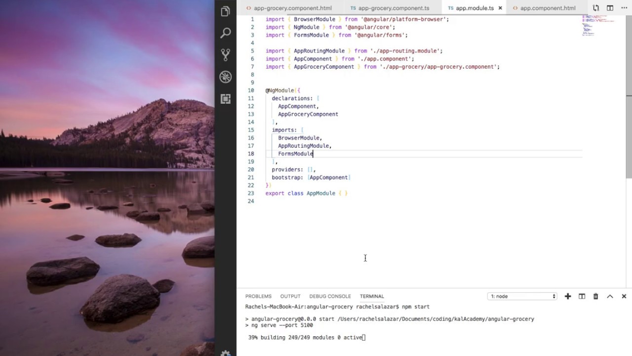 Angular Grocery Demo - YouTube
