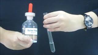 Famous Test for anions (Cl-, NO3-) Wealth