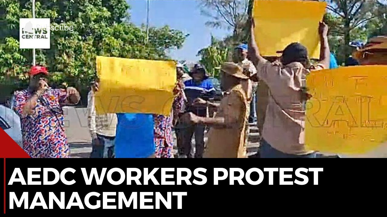 protest-shuts-down-aedc-workers-demand-md-s-removal-and-payment-of