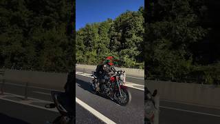 Honda bikes #honda #kawasaki #yamaha #suzuki #ducati #triumph #bigbikes #motorcycle