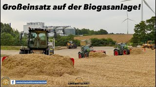 Großeinsatz Auf Der Biogasanlage! Mais Silieren Im Großen Style Xerion 4200 & Fendt Traktoren