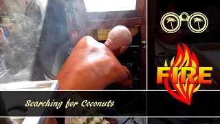 Fire. Things get real, real quick S03E04 by searching for coconuts 685 views 6 months ago 13 minutes, 52 seconds