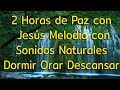 Música Para Orar|| 2 Horas de Paz con Jesus Melodia con Sonidos Naturales Dormir Orar Descansar