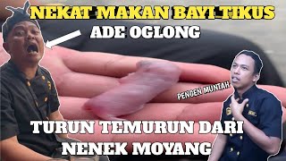 Makan Bayi Tikus Hidup Hidup