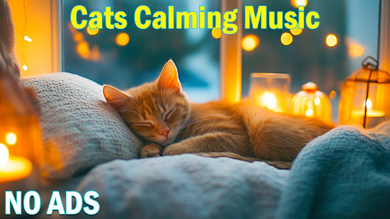 12 часов расслабляющей музыки для кошек💖Мягкая музыка, успокаивающая кошек🐈🎵Музыка, снижающая тре