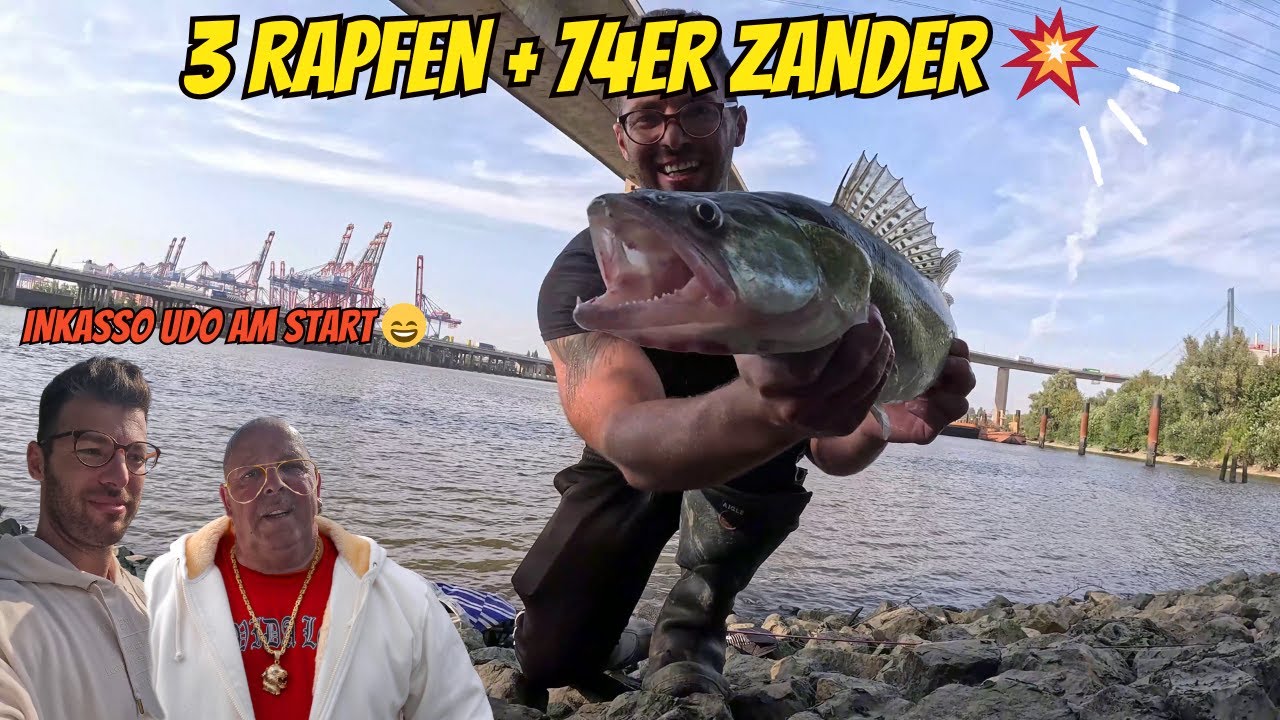 74er Zander & 3 Rapfen!  Spinnfischen an der Elbe – Hamburg liefert 🔥🎣 Inkasso Ohle lässt grüßen!