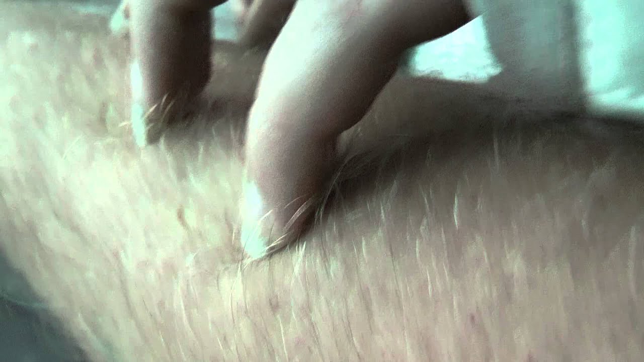 long sharp fingernails