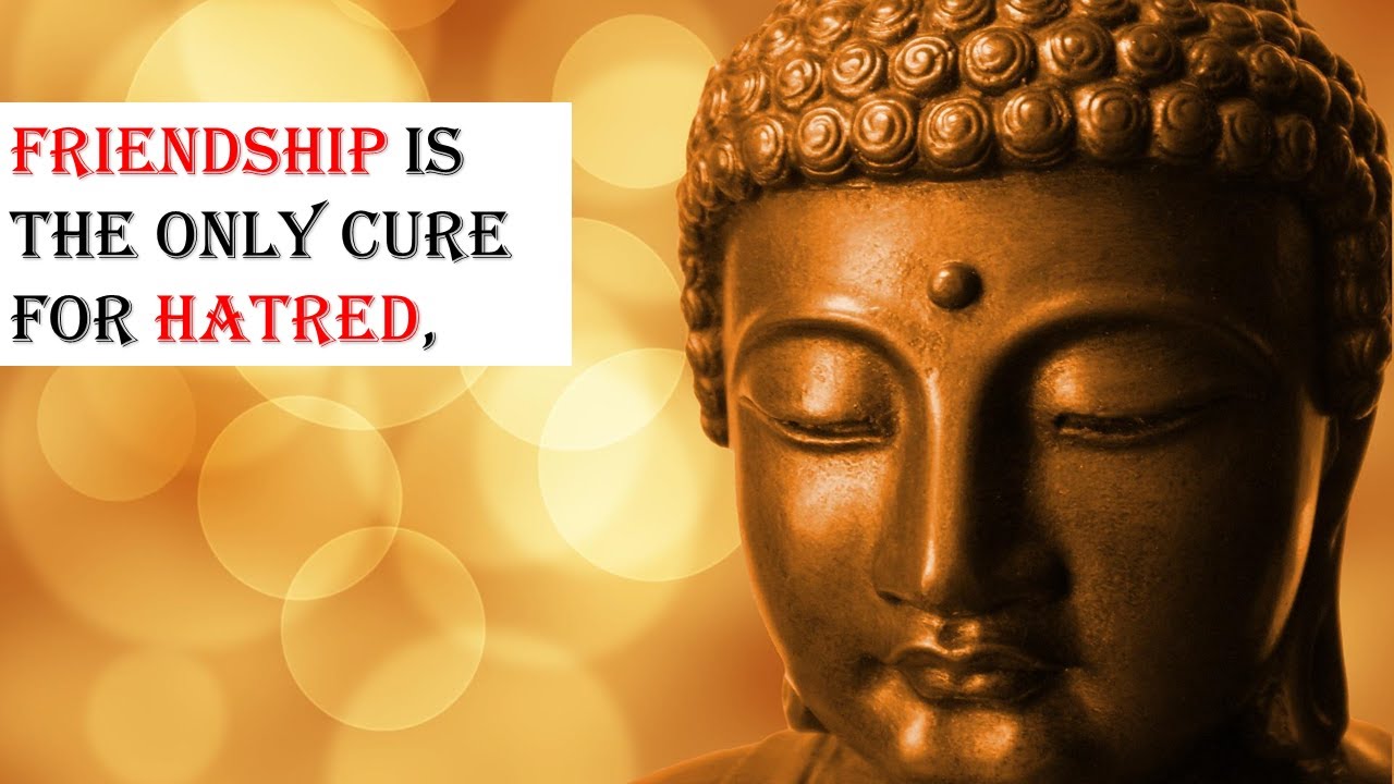 Friendship Is Ultimate Cure Of Hatred | Buddha Quotes On Friendship & Hate