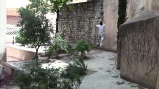 Parkour, literally part 2)