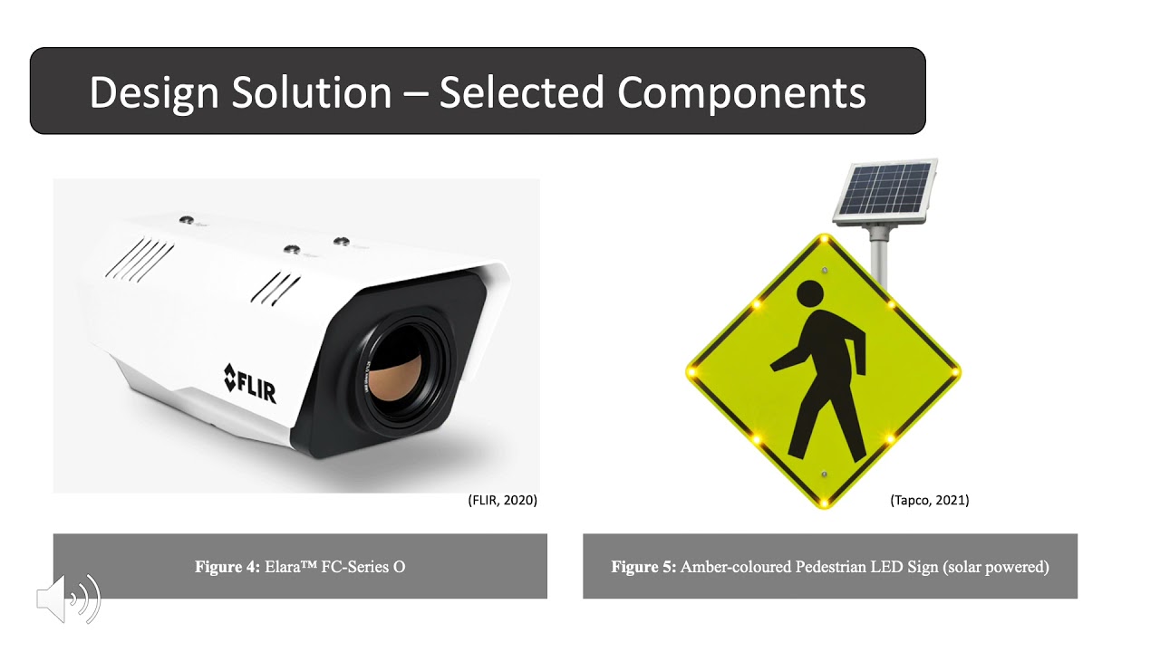 Pedestrian Crossing Safety System (W-13)