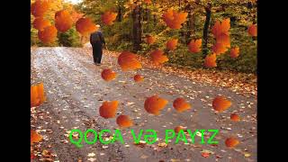 Qoca Və Payiz (Nemət Məti̇n)