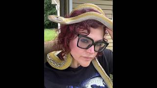 Voidkiss Has Arrived | New Reticulated Python Unboxing
