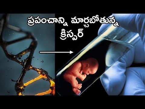 Explaining About CRISPR CAS9 | Genetic Engineering In Telugu