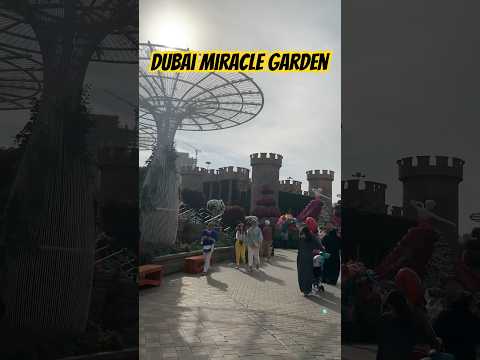 Breathtaking Walk Through Dubai’s Miracle Garden | A Floral Wonderland #shorts #ytshorts