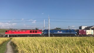 EF510-1号機+ムドEF210-901号機(量産先行車)+コキ100系21両 貨物 & 近ホシ225系0番台4両(U)+近ホシ223系2000番台8両(W) B新快速 敦賀行 通過