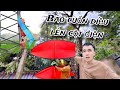 Bất Ngờ Thả Diều Bão Yagi Cuốn Diều 5 Mét Mắc Lên Cột Điện Thiệt Hại Quá Lớn