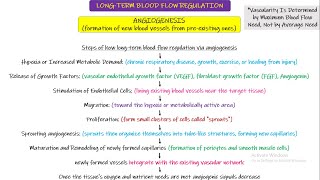 Long term blood flow regulation (Angiogenesis, collaterals). Chapter 17 part 8. Guyton and Hall Phy